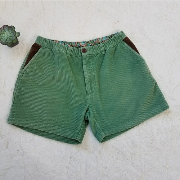 Chubbies Corduroy/Suede Casual Shorts - Picture 3 of 8